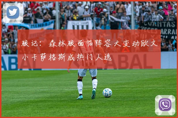 狼记：森林狼面临阵容大变动欧文小卡萨格斯成热门人选